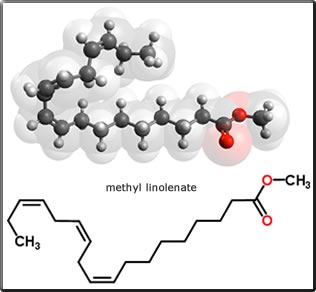 methyl linolenate